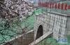 4月7日拍摄的川藏铁路拉林段米林隧道。新华社记者 觉果 摄