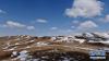 4月25日，一群牦牛在雪后的金银滩草原上（无人机照片）。 