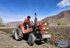 5月4日，日喀则市白朗县洛江镇唐觉村35岁的村民次旺驾驶拖拉机耕地。他家耕种土地60多亩，去年收获青稞2万多斤，年收入5万多元。 