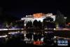 这是夜色中的布达拉宫（6月8日摄）。