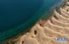 这是青海湖沙岛一角（7月28日摄，无人机照片）。 新华社记者 张宏祥摄