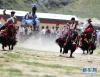 西藏曲水县热堆村村民在赛牦牛（8月7日摄）。 