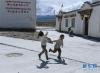 彩渠塘村的孩子手牵手欢快地跑过村内的街巷（8月6日摄）。 新华社记者 李贺 摄