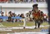 8月10日，骑手在2020年那曲羌塘恰青格萨尔赛马艺术节开幕式上表演骑马捡哈达。新华社记者 张汝锋 摄