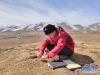 赵新全在青海省海南藏族自治州贵德县采集牧草样品（2020年2月29日手机拍摄）。新华社发
