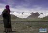 8月15日，牧民在雪山脚下远眺岗加曲巴冰川。 