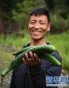 在西藏山南市隆子县玉麦乡，一名村民在温室大棚内给蔬菜浇水（5月27日摄）。新华社记者 王炳坤 摄