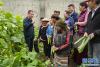 西藏山南市隆子县玉麦乡的蔬菜大棚基地（5月27日摄）。新华社记者 王炳坤 摄