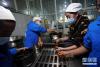 类乌齐县藏家牦牛股份有限公司的工人在包装加工好的牦牛肉（9月21日摄）。