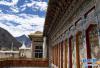 西藏昌都市左贡县怒江峡谷沿岸的东坝民居（9月14日摄）。新华社记者 普布扎西 摄