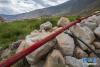 西藏昌都市左贡县中林卡乡万亩葡萄园一角（9月13日摄）。 新华社记者 普布扎西摄