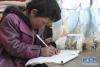 西藏双湖县嘎措乡的一名学生在家中写作业（2013年1月7日摄）。新华社记者 觉果 摄
