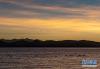 日落时分，水鸟在羊卓雍错湖面上游曳（1月9日摄）。