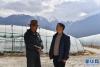 陈千（右）和甲日卡村党支部书记多多在温室前商讨怎样促进村民增收（2月25日摄）。新华社记者 晋美多吉 摄