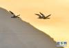 中华秋沙鸭在拉鲁湿地上空飞翔（3月7日摄）。新华社记者 张汝锋 摄