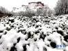 3月14日拍摄的雪中的布达拉宫。新华社记者 觉果 摄