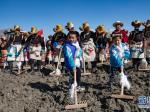 春耕之歌唱响西藏“民主改革第一村”