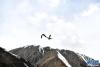 这是5月4日在那曲市比如县境内拍摄的萨普雪山附近的飞鸟。新华社记者 孙瑞博 摄