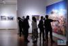 5月21日，在北京炎黄艺术馆展厅，观众在欣赏展品。金立旺 摄