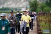 人们在拉萨市拉鲁湿地的健身步道上参加“2020年环拉鲁湿地健步走系列活动”（2020年9月5日摄）。新华社记者 詹彦 摄