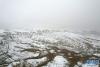 5月20日拍摄的雪中的札达土林景色（无人机照片）。新华社记者 孙瑞博 摄