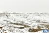 5月20日拍摄的雪中的札达土林景色。新华社记者 孙瑞博 摄