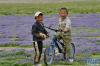 西藏当雄县格达乡格达村的儿童在草场玩耍（6月19日摄）。新华社记者 张汝锋 摄