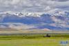  西藏当雄县格达乡境内的草场（6月19日摄）。新华社记者 张汝锋 摄