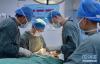 在西藏自治区人民医院手术室，王克明（左二）和同事为面部畸形患者做手术（5月11日摄）。 新华社记者 张汝锋 摄