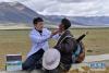 王克明（左）在西藏当雄县格达乡格达村牧场为牧民义诊（6月19日摄）。 新华社记者 张汝锋 摄