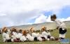 7月15日，西藏班戈县青龙乡牧民在草原上做游戏。新华社记者 觉果 摄