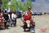 图为西藏自治区拉萨市曲水县达嘎乡其奴村参加“望果节”活动的骑手在进行赛牦牛。贡嘎来松 摄