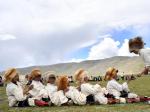 藏北草原进入“欢乐季”