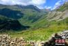 图为夏日的西藏山南玉麦乡。 江飞波 摄
