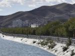 西藏阿里地区绿化成效明显