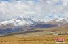 图为9月29日，西藏自治区拉萨市当雄县羊八井镇境内的高原秋景。 中新社记者 贡嘎来松 摄