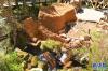 图为尼木县吞巴景区内的水磨藏香原料工艺（9月13日摄）。新华网 贡桑央吉 摄（实习生）