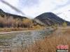图为西藏昌都市第一个国家级湿地公园紫曲河国家湿地公园。　张添福 摄