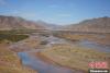 图为青海省玉树藏族自治州囊谦县境内的澜沧江干流扎曲河的网状水系景观。　胡钟艺　摄