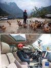 拼版照片：上图为陈塘镇的致富带头人拉巴塔杰给养鸡场的散养鸡喂食；下图为拉巴塔杰坐在自己致富后购买的越野车内（均为11月25日摄）。