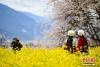 3月30日，游客在嘎拉村穿着藏族传统服饰拍照留念。
