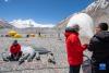 在珠峰登山大本营，科研人员给大气臭氧探空气球充气（5月3日摄）。