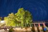 5月4日在拉萨市拉鲁湿地国家级自然保护区外侧拍摄的星轨（合成照片）。新华社记者 周荻潇 摄