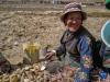 西藏定日县扎西宗乡日白拉新村的村民在劳作（5月10日摄）。