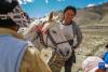 西藏定日县扎西宗乡日白拉新村的村民在劳作（5月10日摄）。