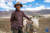 这是西藏定日县扎西宗乡扎西宗村的村民（5月10日摄）。