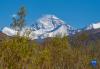 这是在扎西宗乡拍摄的珠穆朗玛峰（5月10日摄）。新华社记者 孙非 摄