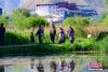 5月24日，拉萨市民沿拉鲁湿地步道观赏游玩。