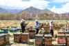 图为工作人员在养殖基地为蜜蜂分箱。 杨华峰 摄