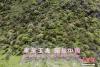 图为山间竖立着“家是玉麦 国是中国”的大字。（无人机照片） 中新社记者 杨华峰 摄